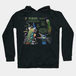 Animal Facts - Peacock Hoodie